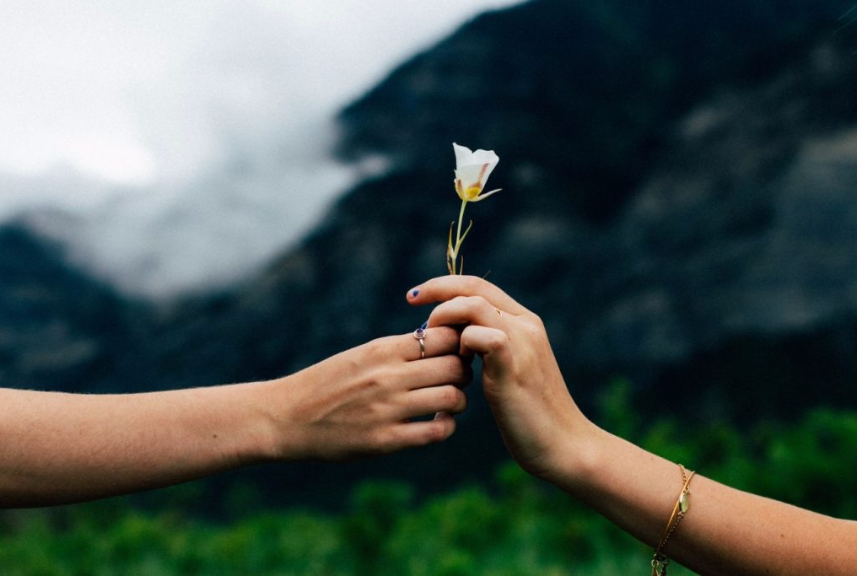 give-flower House Needs | The Magdalen House | A Recovery Community for Women