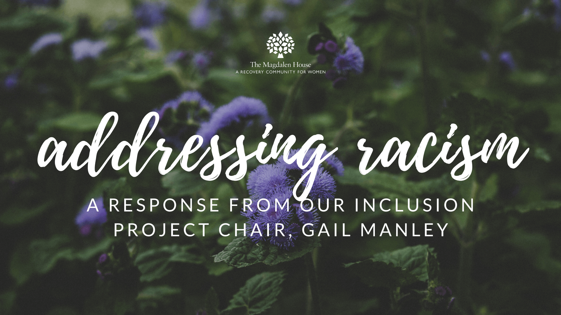 A Response to the “Addressing Racism” Letter, from Our Inclusion Project Chair Gail Manley