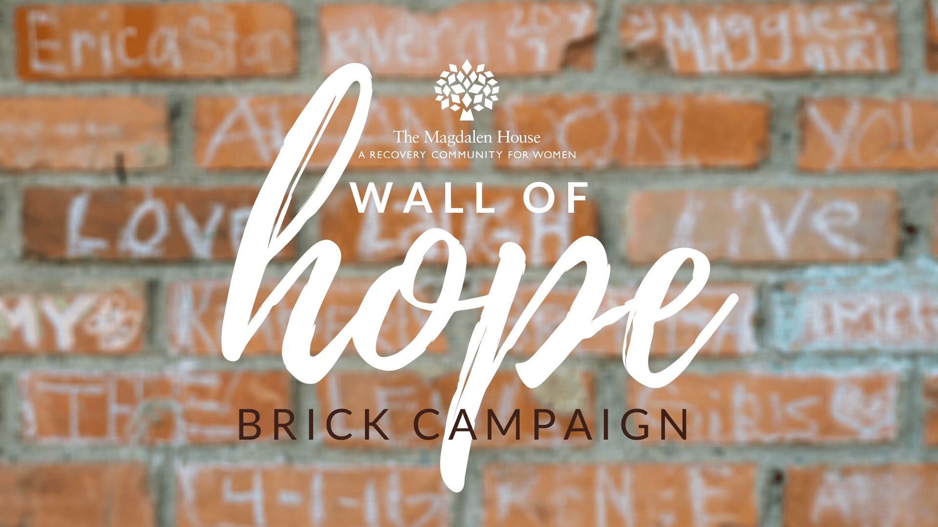 Brick Campaign – Blog