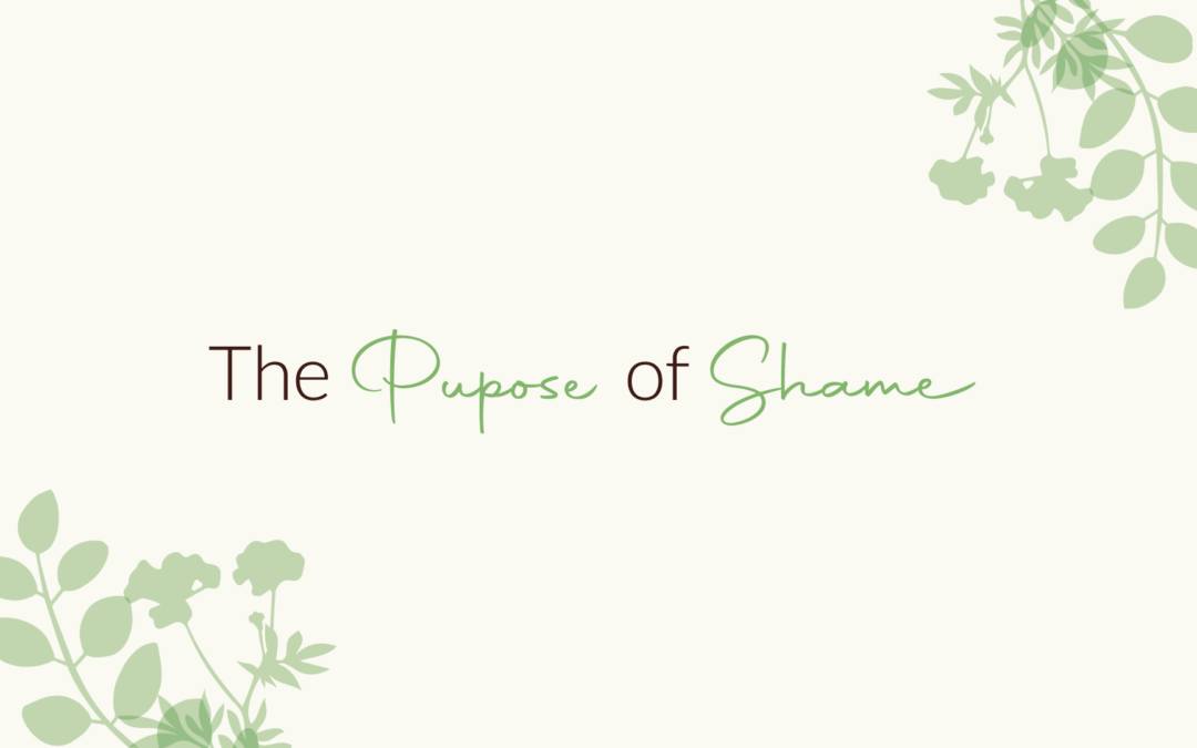 The Purpose of Shame